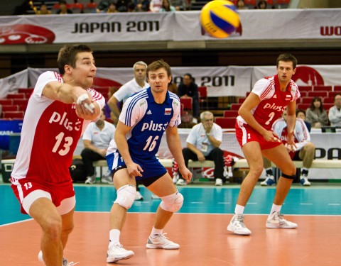 Polska-Serbia