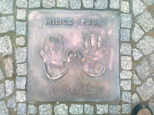 15 - CZAJA W (2006)