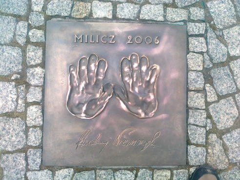 16 - NIEMCZYK A (2006)