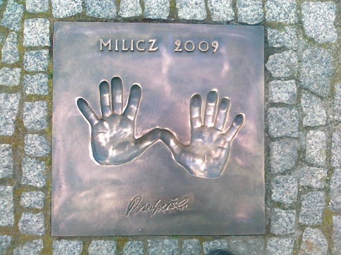 31 - PRZEDPELSKI M (2009)