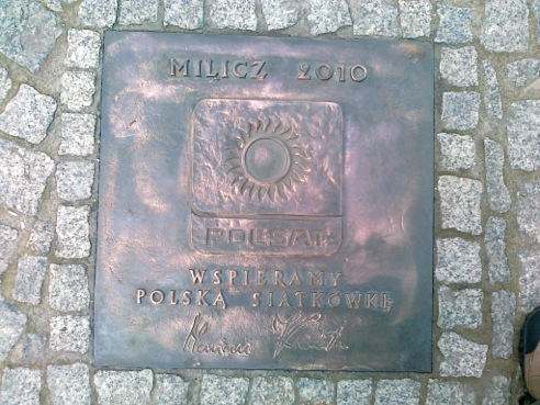 36 - TELEWIZJA POLSAT SA (2010)
