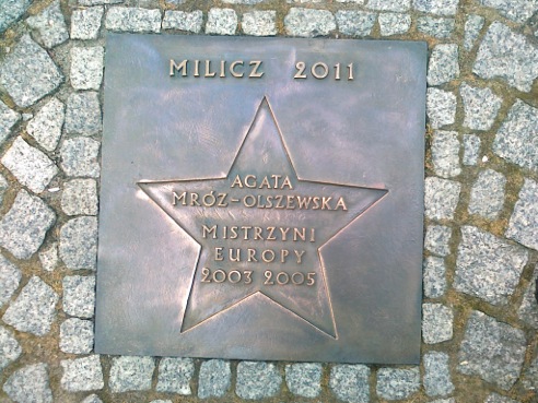 38 - MROZ-OLSZEWSKA A (2011)1