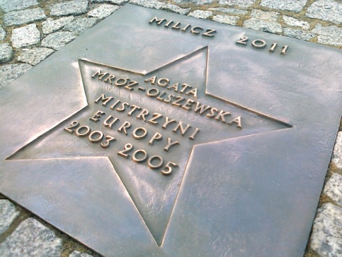 38 - MROZ-OLSZEWSKA A(2011)2