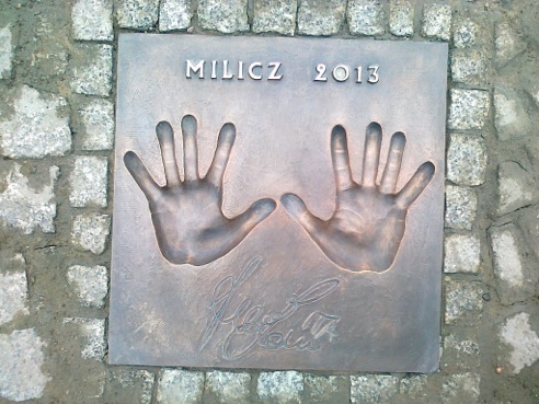 49 - ZORZI A (2013)